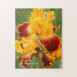 アイリス'ミシガンプライド' [ジグソーパズル:252P] ジグソーパズ ジグソーパズル