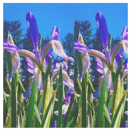 アイリスライト ファブリック (クローズアップ)