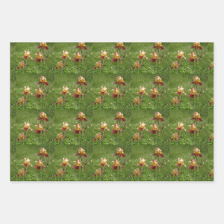 アイリスラッピング紙 ラッピングペーパーシート