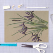 アイリスレティキュラタバイアレンティナヘンドリカアレンドセン 薄葉紙 (クラフト)