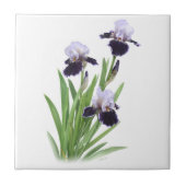 アイリス三つ 葡萄色のひげ iris botanical art タイル (正面)