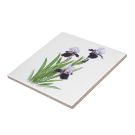 アイリス三つ 葡萄色のひげ iris botanical art タイル