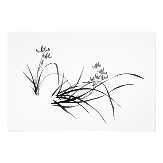 アイリス中国のス春 フォトプリント            (正面)