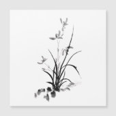 アイリス中国のト – bw (正面)