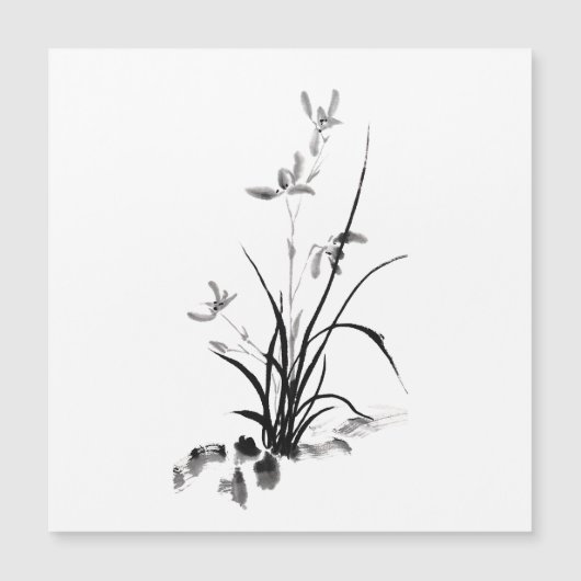 アイリス中国のト – bw (正面)