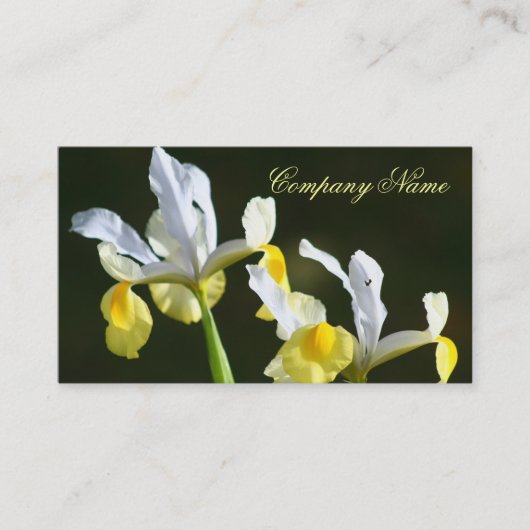 アイリス名刺 名刺 (正面)