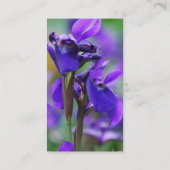 アイリス名刺 名刺 (裏面)