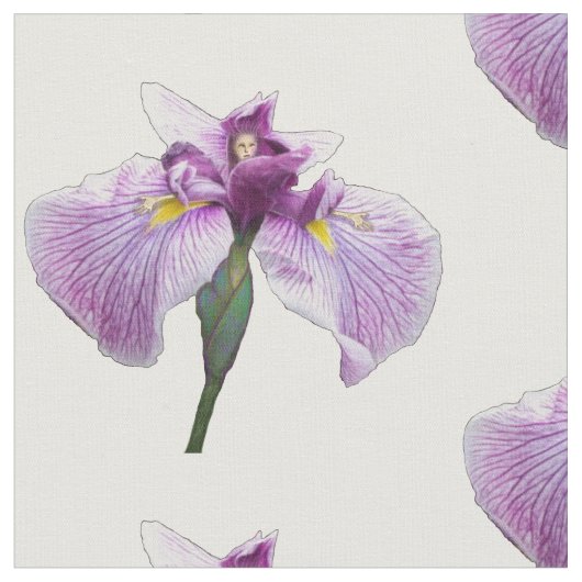 アイリス姿 ファブリック (クローズアップ)