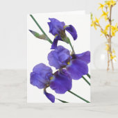 アイリス挨拶状(中ブランク) カード (黄色い花)