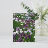 アイリス日本のス：東京，日本 ポストカード (スタンド正面)