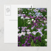 アイリス日本のス：東京，日本 ポストカード (正面/裏面)