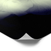 アイリス日本のブラックとホワイトハイコントラスト ポスター (角)