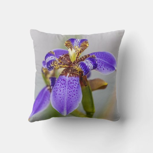 アイリス枕 クッション (裏面)