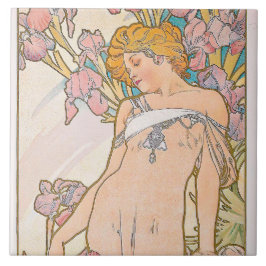 アイリス柔軟なフォトマグネット タイル