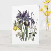 アイリス水彩画の悔やみや弔慰カード カード (黄色い花)
