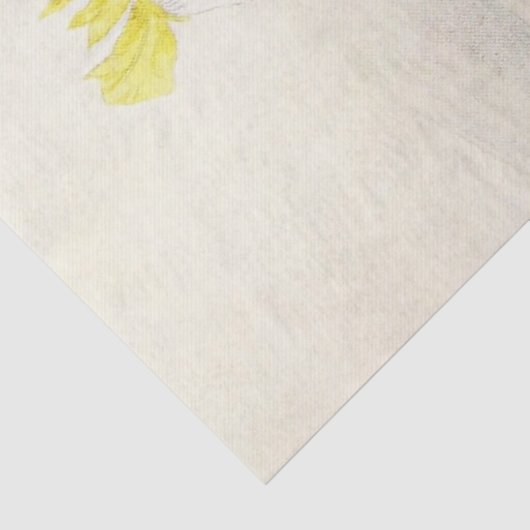 アイリス水彩画の旧式な花の芸術のティッシュペーパー 薄葉紙 (詳細)