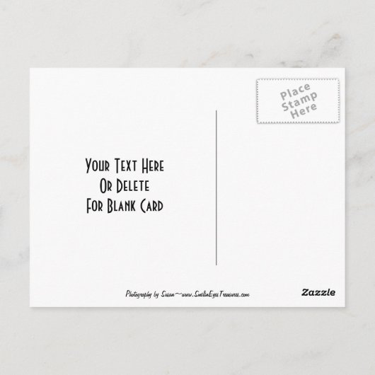 アイリス白熱［赤熱］光を放つフローラカスタマイズ可能はがき ポストカード (裏面)