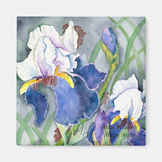 アイリス磁石 マグネット (正面)