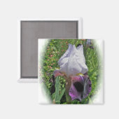 アイリス磁石 マグネット (正面/裏面)