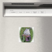 アイリス磁石 マグネット (インサイチュ (食洗機))