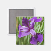 アイリス磁石 マグネット (正面/裏面)