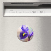 アイリス細網花磁石 マグネット (インサイチュ (食洗機))