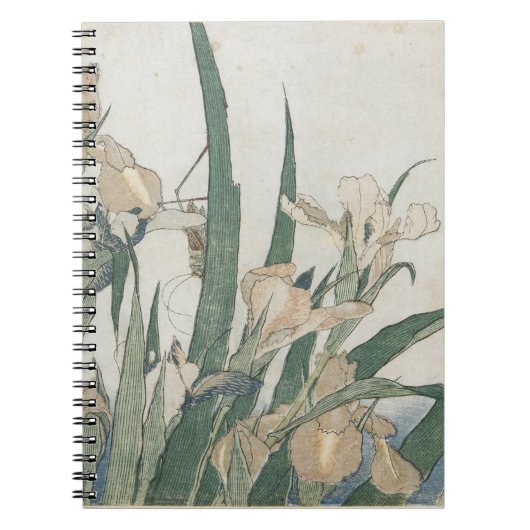 アイリス花およびバッタ、c.1830-31 ノートブック (正面)