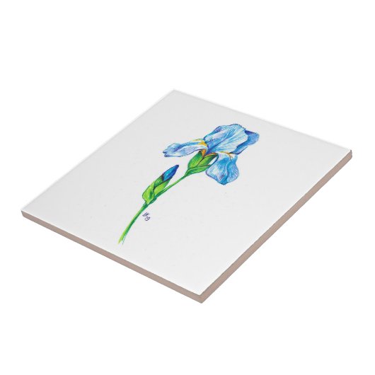 アイリス花 タイル (側面)