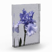 アイリス開花 フォトブロック (左)