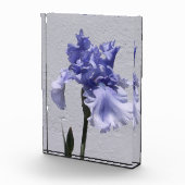 アイリス開花 フォトブロック (右)