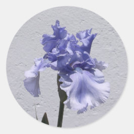 アイリス開花 ラウンドシール