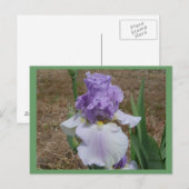 アイリス青葉書。 ポストカード (正面/裏面)