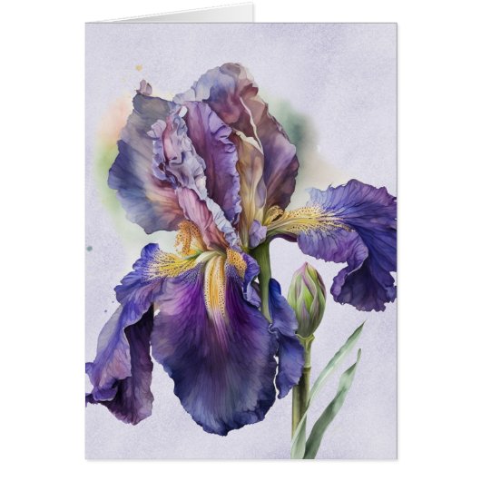 アイリス (正面)