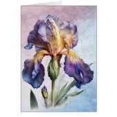 アイリス (正面)