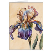 アイリス (正面)