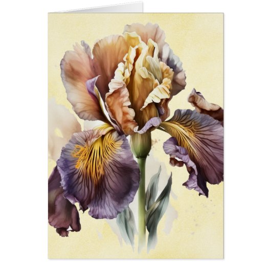 アイリス (正面)