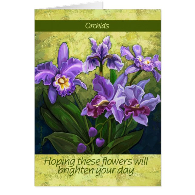 アイリス (正面)