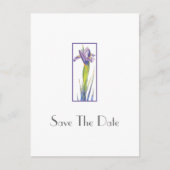 アイリス2はがき ポストカード (正面)