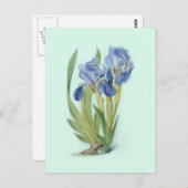 アイリス・アフィラ ポストカード (正面/裏面)