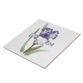 アイリス(アヤメ)の花のボタニカルアート タイル (側面)