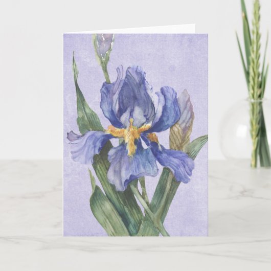 アイリス カード (正面)