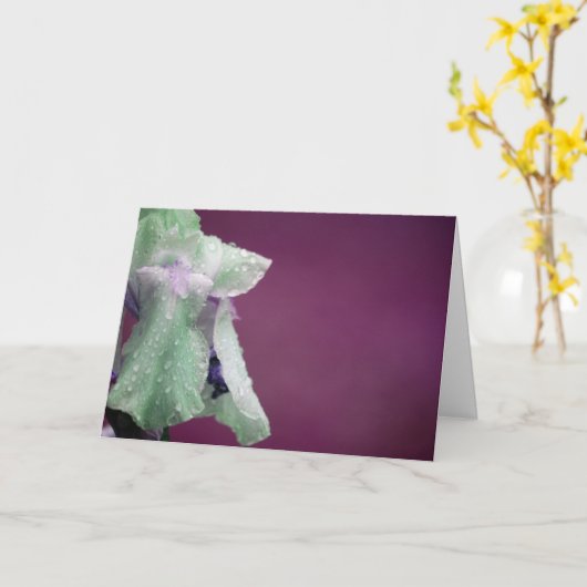 アイリス カード (黄色い花)