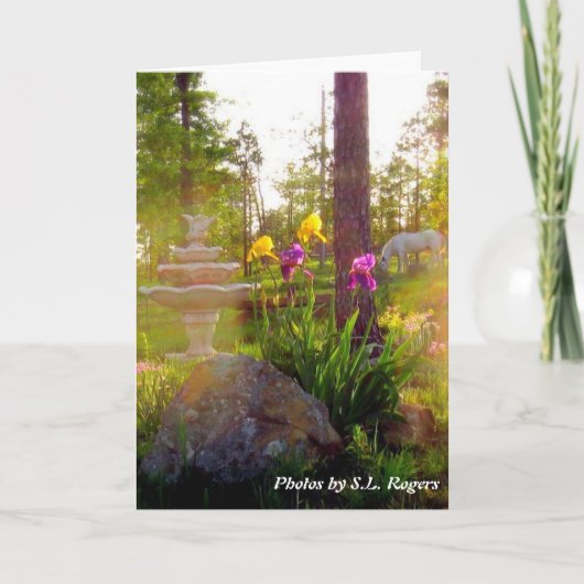 アイリス カード (正面)