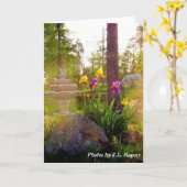 アイリス カード (黄色い花)