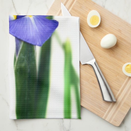 アイリス キッチンタオル (四つ折り)