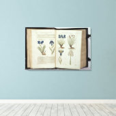 アイリス キャンバスプリント (インサイチュ (ウッドフロア))