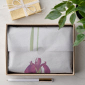 アイリス・ケンプフェリbyウィリアム・ダイクス 薄葉紙 (ギフト)