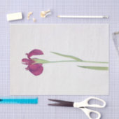 アイリス・ケンプフェリbyウィリアム・ダイクス 薄葉紙 (クラフト)