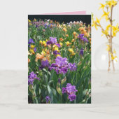 アイリス コテージ ガーデン パープル アイリス アイリス 花のカード カード (黄色い花)