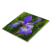 アイリス・シビリカ花の写真 タイル (側面)